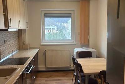Apartament cu 3 camere decomandat, mobilat în Răcădău - 2