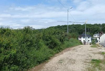 Superb teren intravilan langa padurea Cocosesti - 2