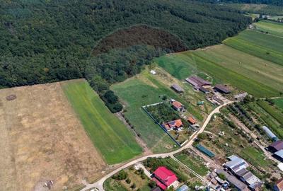 Teren Construcții intravilan de 2469 mp, în Bălata - 2