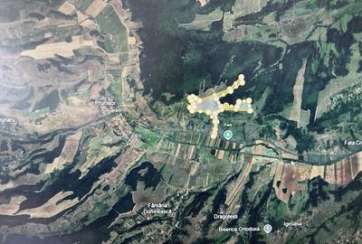 Teren de 480000 mp, în Prunișor - 8