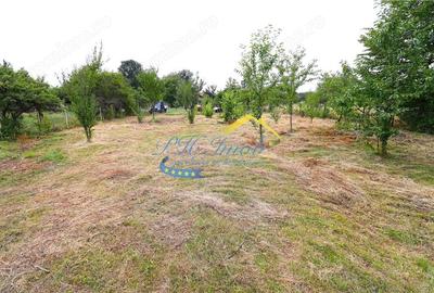 Teren Intravilan de vanzare, Campina - 2