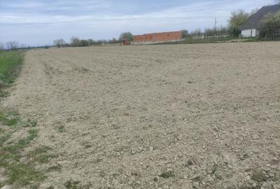 Teren de 6840 mp, în Cionchești - 4