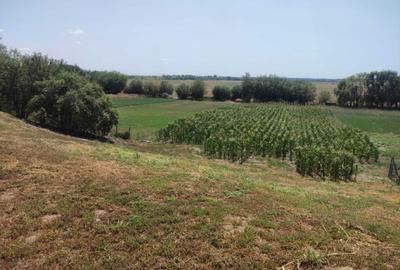 Casă cu 4 camere în Plătărești - 7