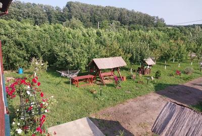 Casă cu 4 camere în Poiana - 5