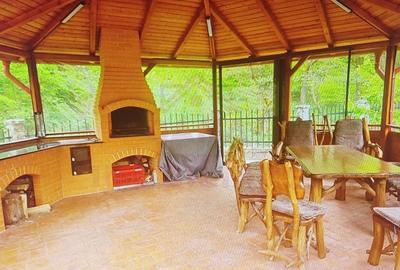 Casă individuală cu 10 camere cu Canalizare în Marga - 14