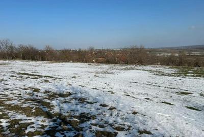 Teren de 1440 mp, în Murani