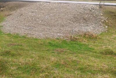 Spațiu comercial, în Paltin - 10