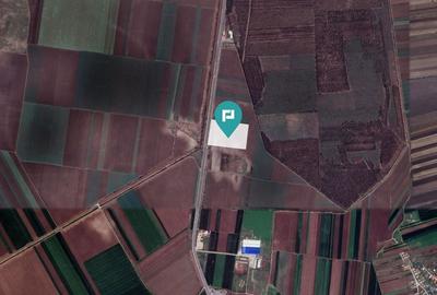 Teren Industrial în Glina, Jud. Ilfov - 2