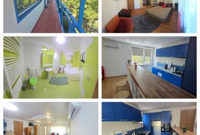 2 camere, în vila, la curte, centrala, parcare, pet friendly, metrou Gorjului, - 29