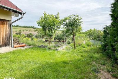 Casă cu 2 camere cu Teren 2052 Mp în Paleu - 10