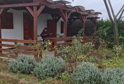 Mica proprietate cocheta cu teren generos ?i utilita?i complete - 1