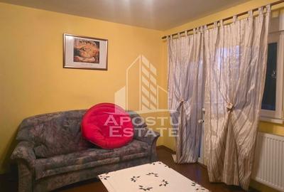 Vilă, de vanzare, la intrare in Macea, ZERO comision - 28