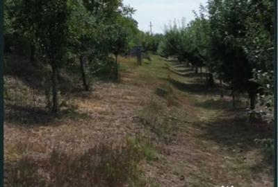 Teren de 2100 mp, în Gârbova - 3