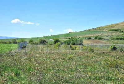Teren de 1000 mp, în Florești - 1