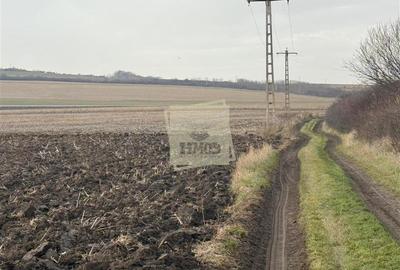 Teren agricol extravilan de 20300 mp, în Șura Mică - 2