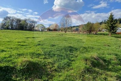 Teren Construcții intravilan de 2421 mp, în Periferie - 8