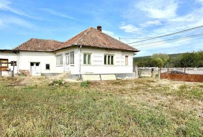 Casa la tara, teren 5500 mp ,Garbova de Jos
