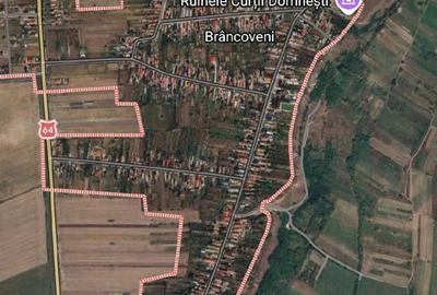 Teren de 10000 mp, în Nord - 5