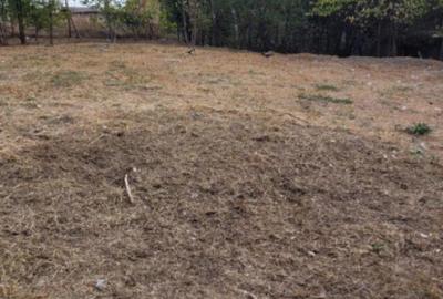 Teren dezvoltare imobiliara Colentina - Maior Bacila Teren dezvoltare imobiliara Colentina - Maior Bacila - 6