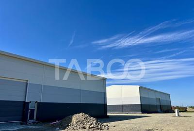 Hala industriala de vanzare 528 mp utili zona Vest a Sibiulu - 5