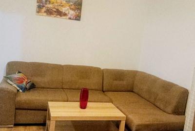 Apartament cu 2 camere semidecomandat în Pajura - 7