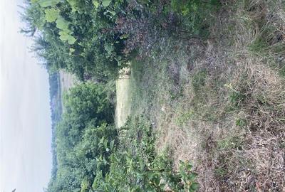 Teren cu iesire la lac si casa in stil brancovenesc Teren cu iesire la lac si casa in stil brancovenesc - 10