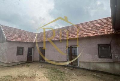 Casă cu 6 camere cu Teren 2160 Mp în Balinț - 6