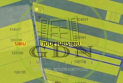 Teren Construcții intravilan de 6000 mp, în Turnișor - 2