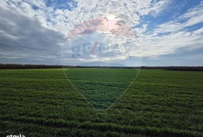 Spațiu comercial, în Ianova - 2