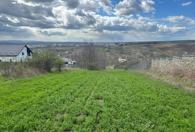 Teren agricol intravilan de 3271 mp, în Valea Lupului - 1
