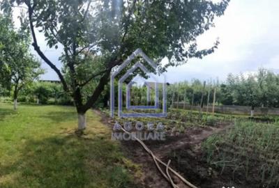 Casă cu 4 camere cu Teren 1600 Mp în Moara - 18