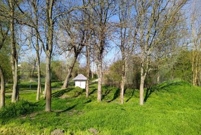 Teren Construcții extravilan de 29600 mp, în Nord-Vest - 14