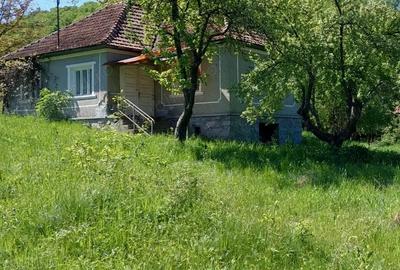 Casa la ?ara cu teren , zona lini?tita - 2