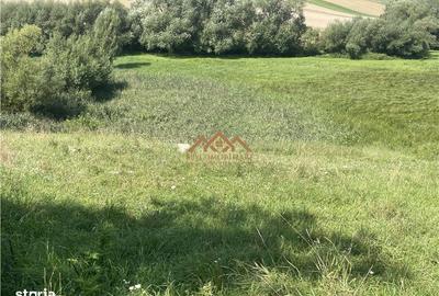 Teren de 8000 mp, în Moara - 2