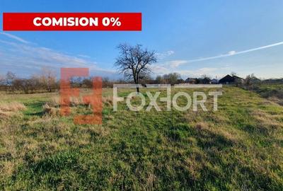 Casă individuală cu 4 camere în Pădureni (Jebel) - 2