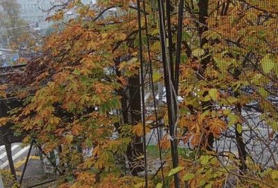 Apartament 2 camere mobilat partial/nemobilat Floreasca Parc - 5