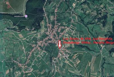 Casă cu 2 camere cu Teren 1060 Mp în Dealu - 3