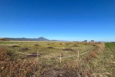 Teren Intravilan Cristian Teren Intravilan Cristian - 4