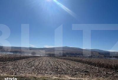 Teren de 2016 mp, în Ciurila - 2