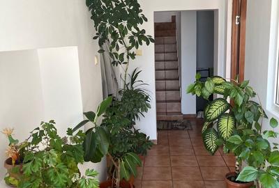 Casă cu 5 camere în Caransebeș - 9