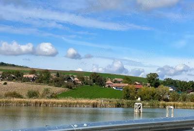 Casă cu 5 camere cu Teren 1930 Mp în Geaca - 8