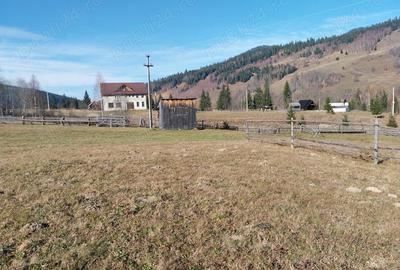 Teren de 6529 mp, în Valea Stânei - 2
