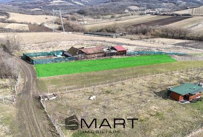 Teren agricol extravilan de 10000 mp, în Gușterița - 1