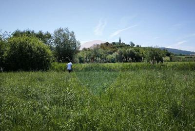 Teren de vanzare Blajel, jud. Sibiu | 15.360 mp - p... - 4