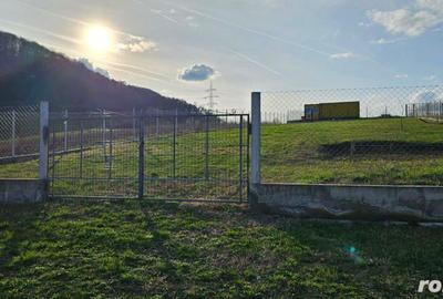 Teren de 1100 mp, în Mintia - 4