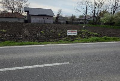 Teren de 500 mp, în Movilița