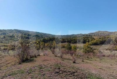 Teren extravilan cu priveli?te superba , livada ?i poten? - 11