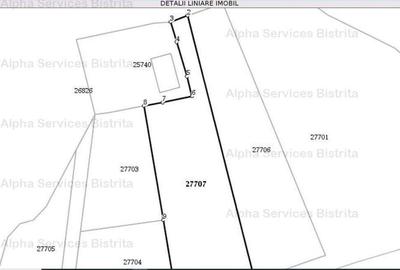 Teren de 1000 mp, în Colibița - 4