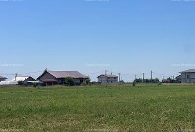 Terenuri Baldana / spre Targoviste - 3