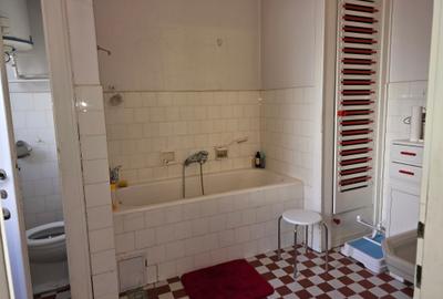 Apartament deosebit in centrul  Timisoarei, cu terasa si curte - 9